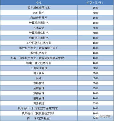 湖南省單招考試報(bào)考計(jì)算機(jī)、軟件類(lèi)專(zhuān)業(yè)院校與重點(diǎn)推薦—聚焦技術(shù)開(kāi)發(fā)與銷(xiāo)售